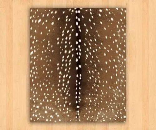 Axis Hide Print Area Rug XL