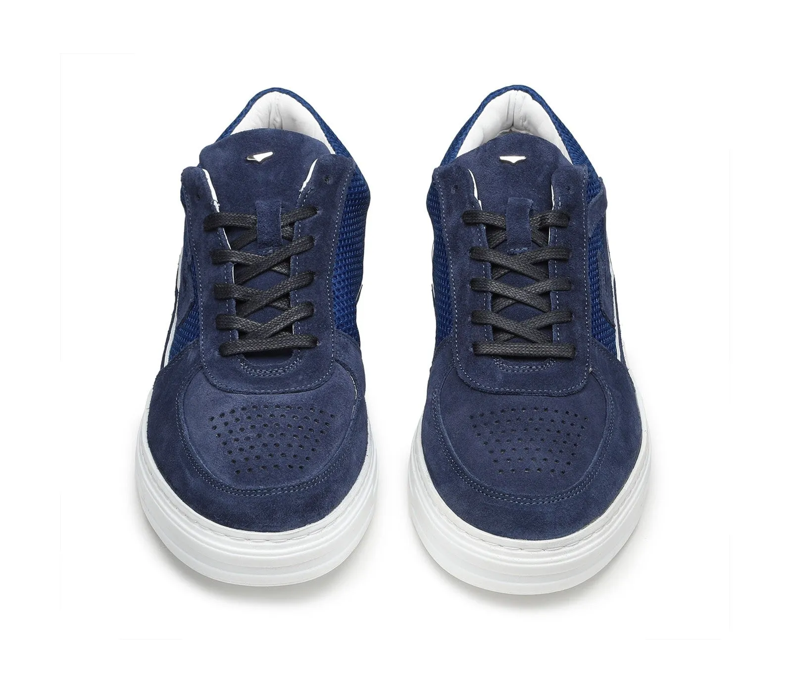 ITALIS 020